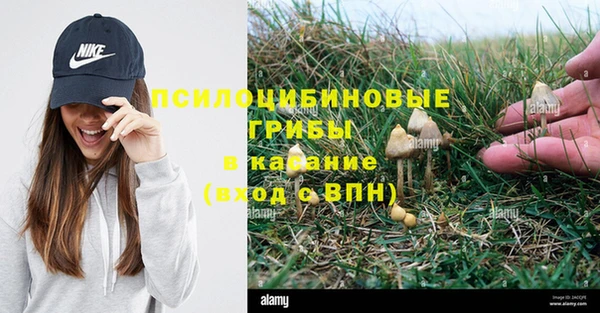 MDMA Арсеньев