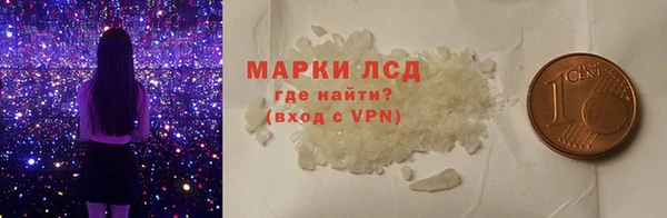 хмурый Аркадак