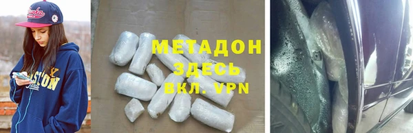 хмурый Аркадак