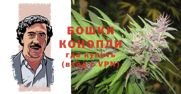 хмурый Аркадак
