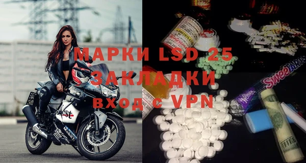 хмурый Аркадак