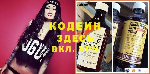хмурый Аркадак